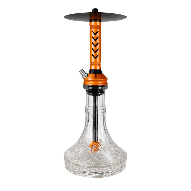 [260201 - 1] Zar Ramsey (Rosa)